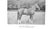 Paper "Thoroughbred & Other Ponies" 1903 Gilbey, Sir Walter Bart. For Sale - Image 7 of 7