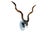 A highly collectable wall decoration with Kudu horns and an industrial Singer sewing machine. This piece was one of the...