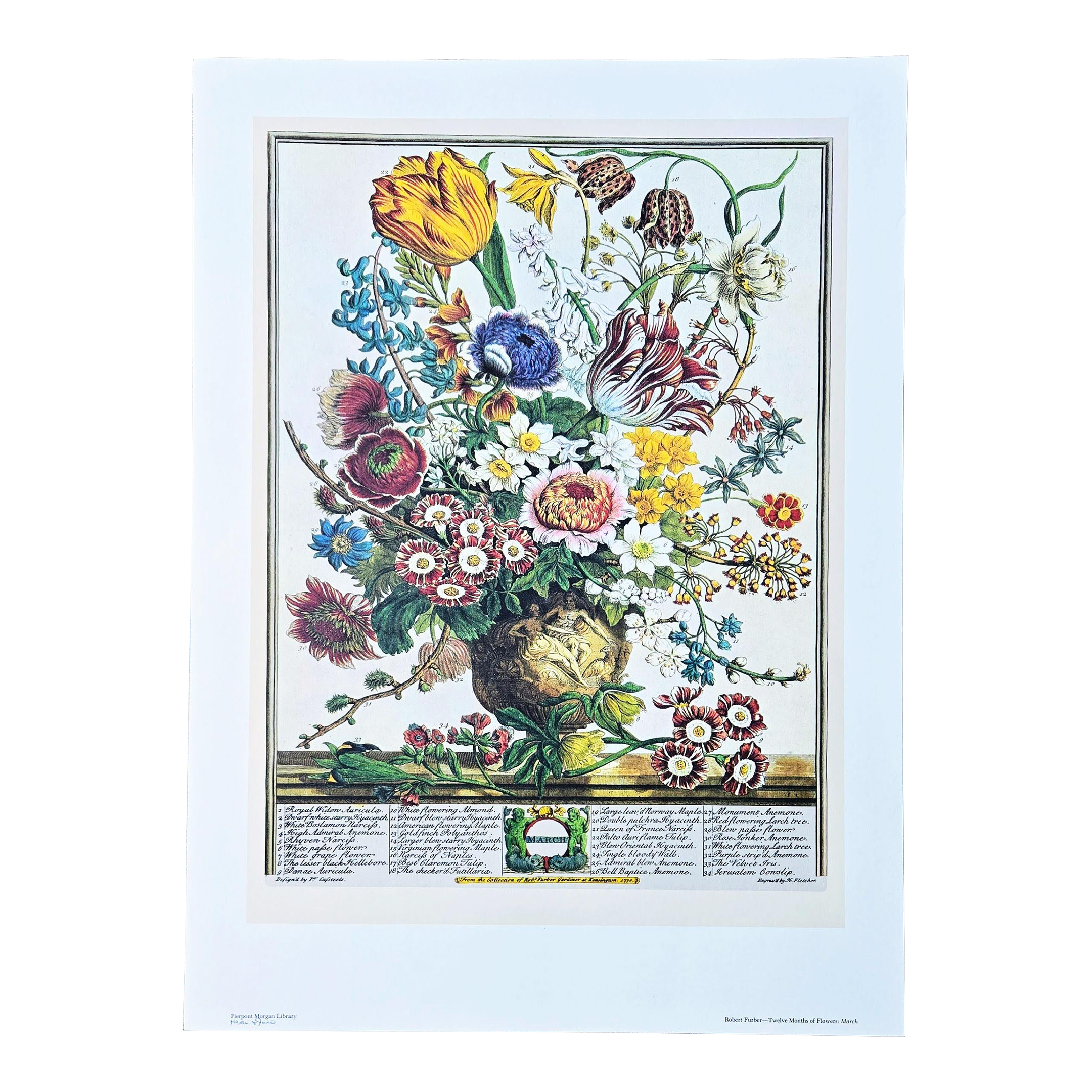 1980s Vintage Robert Furber March Botanical From 