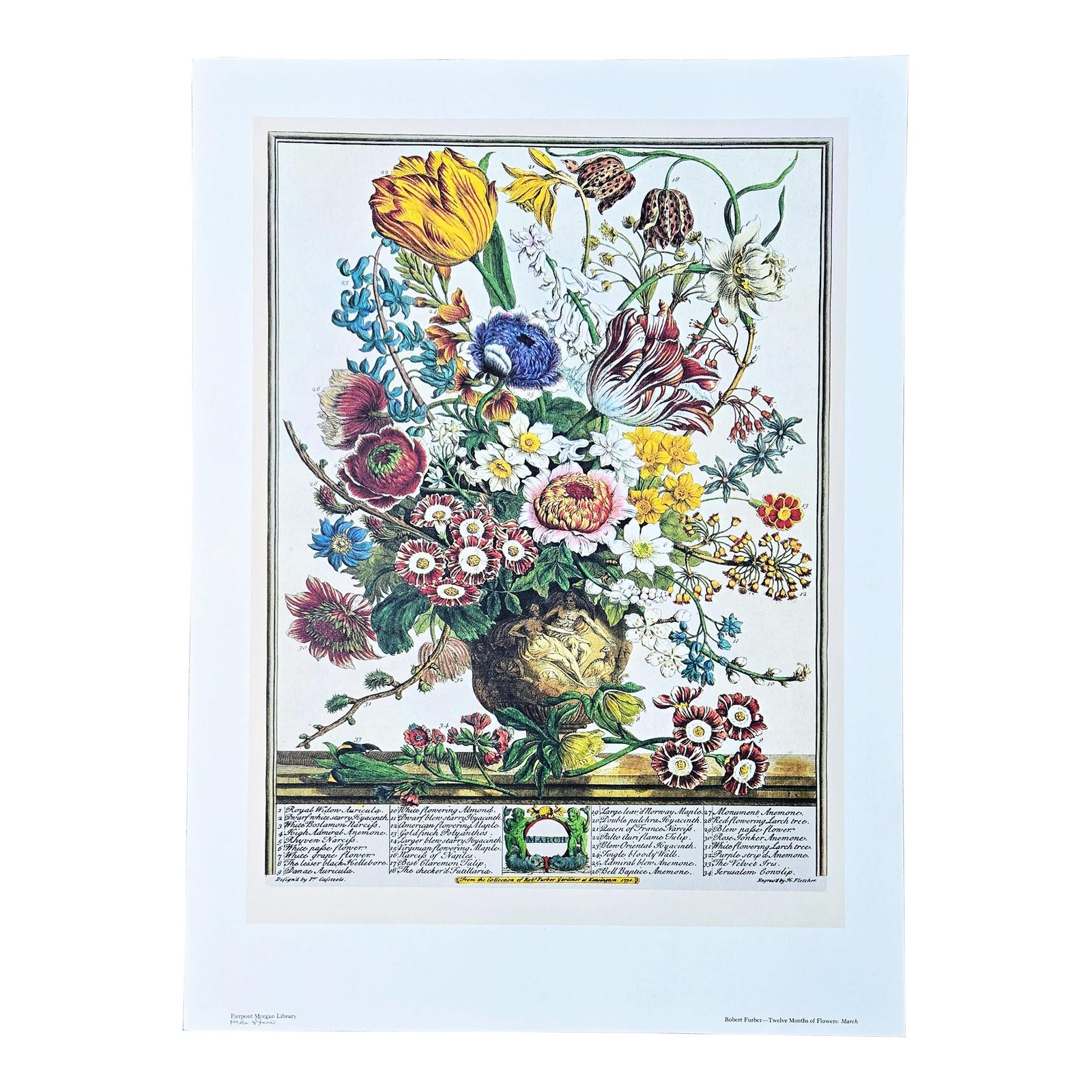 1980s Vintage Robert Furber March Botanical From 