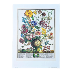 1980s Vintage Robert Furber March Botanical From "Twelve Months of Flowers” Pierpont Morgan Library Print
