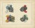 19th-Century Hand-Coloured Lithograph of Knightly Helmets with Vibrant Plumes : This striking hand-coloured lithograph...