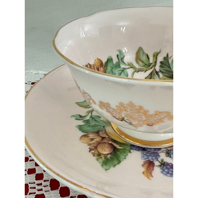 1950s 1950s Royal Grafton Wide Mouth Teacup Set, Pale Pink With Fruit Interior For Sale - Image 5 of 9
