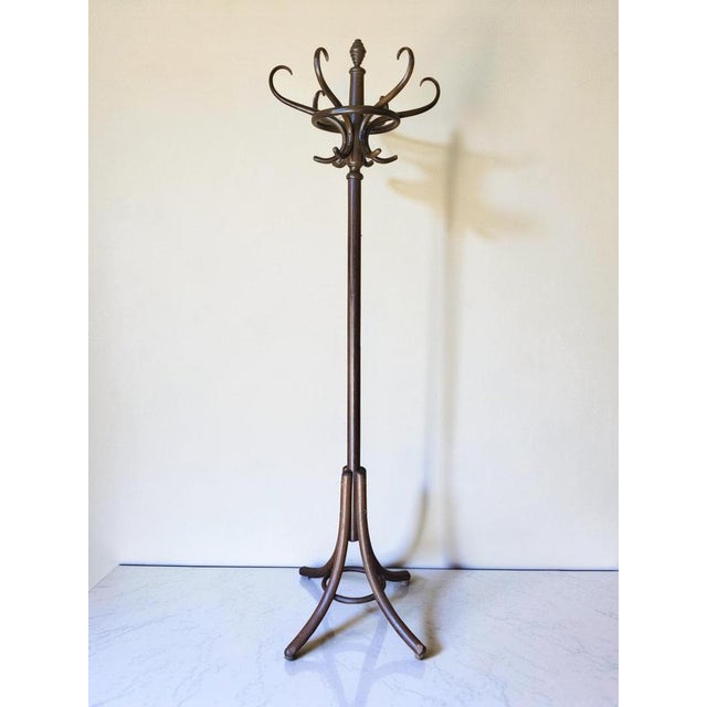Parrot Coat Rack by Michael Thonet for Thonet, 1950s For Sale - Image 10 of 10