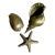 Vintage Coastal Burnished Brass Shells- Set of 3 For Sale