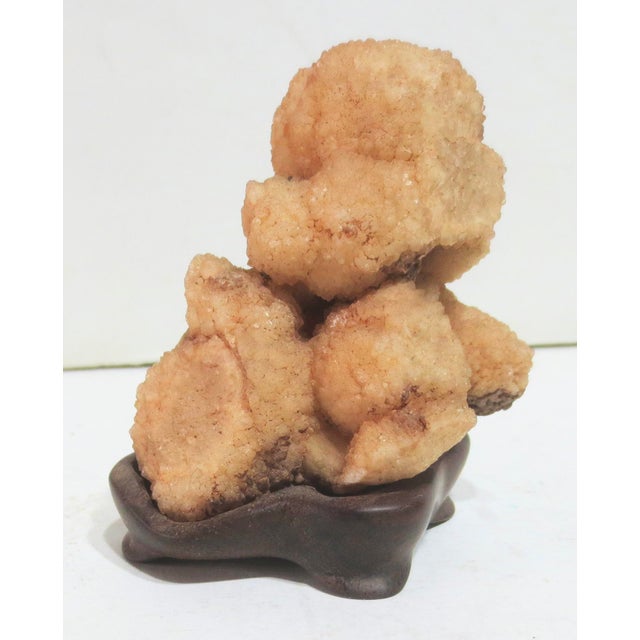 Contemporary Gobi Agate Specimen on Wooden Stand For Sale - Image 3 of 6