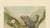 Late 19th Century P. J. Smit, The Black Iguana on Banana Tree, 1895, Color Lithograph For Sale - Image 5 of 9