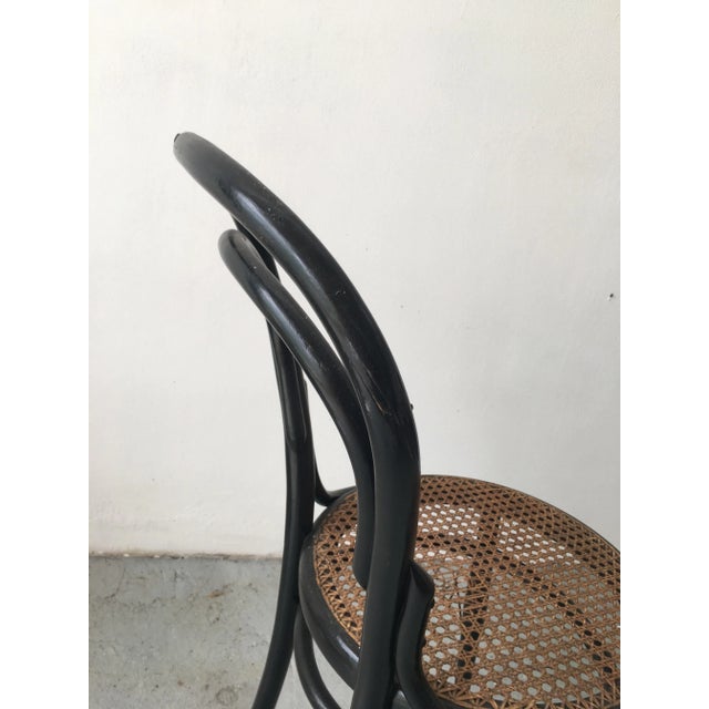 Antique Bent Beech Dining Chair in the Style of Gebrüder Thonet, 1910s For Sale - Image 9 of 12