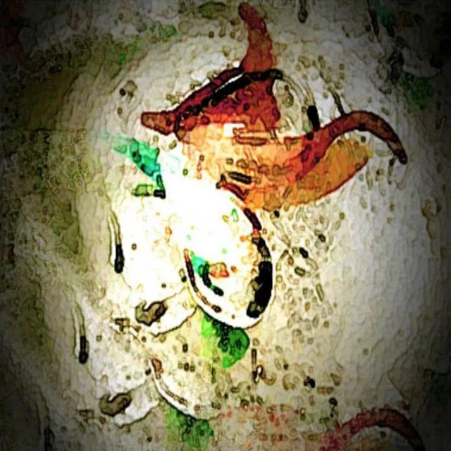 Painted Phoenix by Thon For Sale - Image 4 of 4