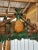 English Whimsical Pineapple Tropical Wall Mirror in the Manner of Gampel-Stoll For Sale - Image 3 of 12