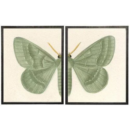 Split Green Butterfly in Pewter Shadowbox 2 frames make up this set.