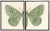 Split Green Butterfly in Pewter Shadowbox 2 frames make up this set.