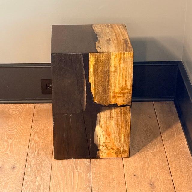 Wood Made Goods Teo Mix Petrified Wood Stool or Side Table For Sale - Image 7 of 7
