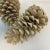 Pinecones add such a lovely decor touch during the fall and winter holidays. We’ve curated these two large ones that have...