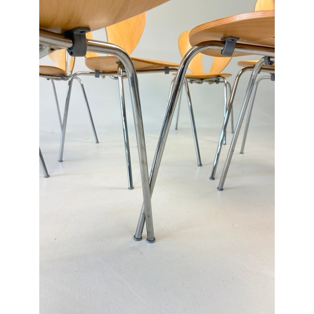 Jesús Gasca for Stua "Globus" Modern Molded Wood & Chrome Stackable Dining Chairs - Set of 8 For Sale - Image 12 of 14