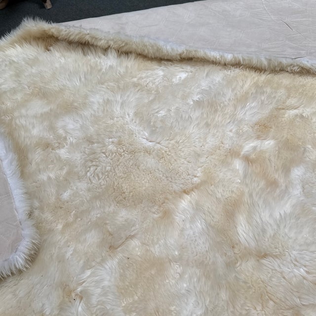 7ft 10in × 7ft 10in Safavieh Sheepskin Area Rug For Sale - Image 13 of 13