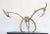 Bone Scandinavian Reindeer Antlers From Northern Sweden, Vintage From 1990s For Sale - Image 7 of 9