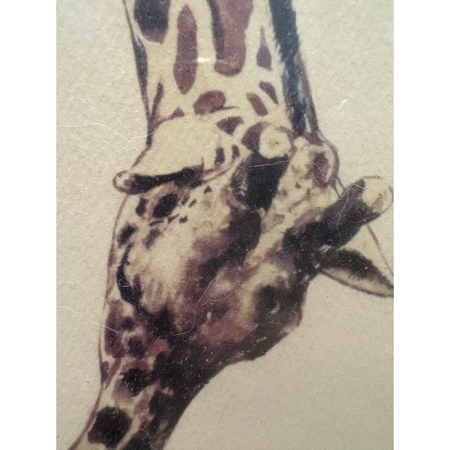 Printmaking Materials Vintage Evelyn Gross ‘Aisha & Mother’ Brookfield Zoo Chicago Numbered Giraffe Lithograph 60/1000 For Sale - Image 7 of 12
