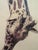 Printmaking Materials Vintage Evelyn Gross ‘Aisha & Mother’ Brookfield Zoo Chicago Numbered Giraffe Lithograph 60/1000 For Sale - Image 7 of 12