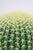 1980s Large Cactus Table Lamp, 1980s For Sale - Image 5 of 10