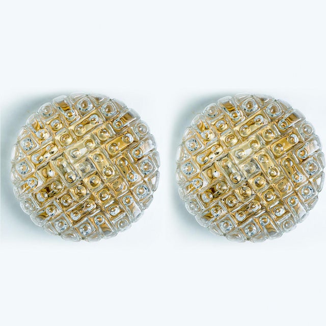 Round Clear Bubble Glass Wall Lights in the style of Helena Tynell, 1970, Set of 2 For Sale - Image 4 of 15