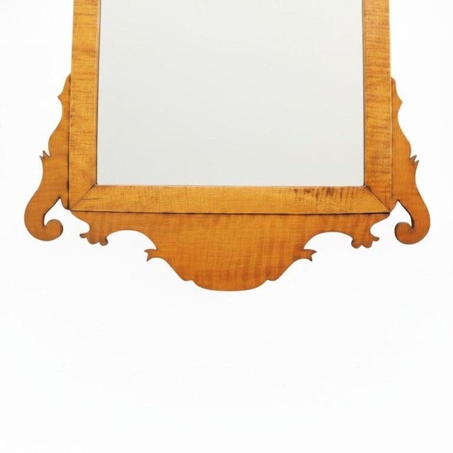 Traditional Antique Federal Tiger Maple Mirror 19thC For Sale - Image 3 of 6