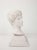 1950s French Plaster Bust of a Classical Youth For Sale - Image 5 of 6