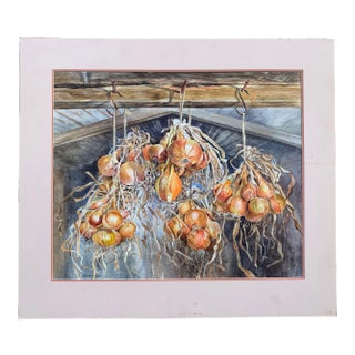 Realistic Still Life Watercolor Painting of Onions by Gillean Whitaker, Framed For Sale