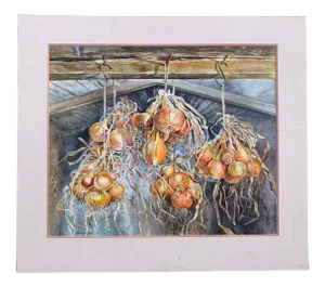 Realistic Still Life Watercolor Painting of Onions by Gillean Whitaker, Framed