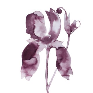"Iris No. 199" Contemporary Original Botanical Flower Watercolor Painting by Elizabeth Becker For Sale