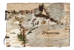 Circa 1930s Birchbark Souvenir Memories Photo Album