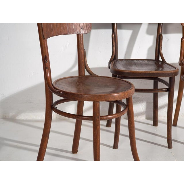 Bentwood Chairs attributed to Michael Thonet, 1940s, Set of 4 For Sale - Image 3 of 12
