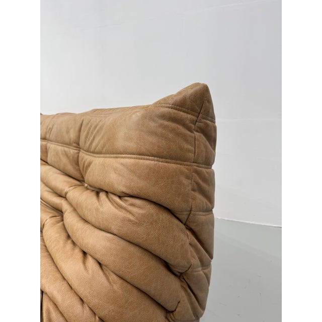 1970s French Togo 3-Seater Sofa in Camel Leather attributed to Michel Ducaroy for Ligne Roset For Sale - Image 5 of 11