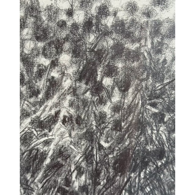 Charcoal "Egyptian" by Paul Zwietnig-Rotterdam | 1991 For Sale - Image 8 of 8