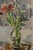 Filippo De Pisis, Still Life with Flowers, 1950s, Paint For Sale - Image 3 of 5
