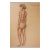 Vintage 1950s Charles Normann Sepia Chalk Female Figure Drawing For Sale