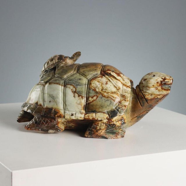 Hard Stone Turtle Sculpture For Sale - Image 11 of 11