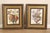 Quality Framed Pair of Prints, Each with a Vase of Flowers