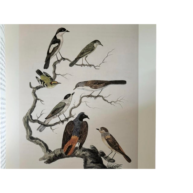 2000 - 2009 The Natural History of Selbourne by Gilbert White For Sale - Image 5 of 8