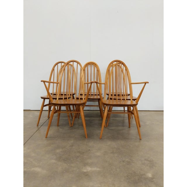 1960s Set of 8 Vintage Mid Century Modern Dining Chairs by Ercol For Sale - Image 5 of 12