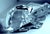 Baccarat, France Fine Crystal Ram Paperweight For Sale - Image 12 of 13