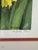 Manabu Saito Limited Edition Iris Botanical Floral Prints Signed Set of 2 Framed For Sale In Philadelphia - Image 6 of 12
