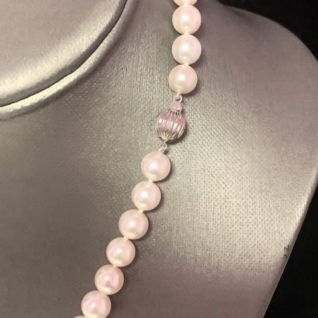 Fine Quality Akoya Pearl Necklace 14k Gold 18" 8.0 mm Certified $3,975 113101 This is a Unique Custom Made Glamorous Piece...