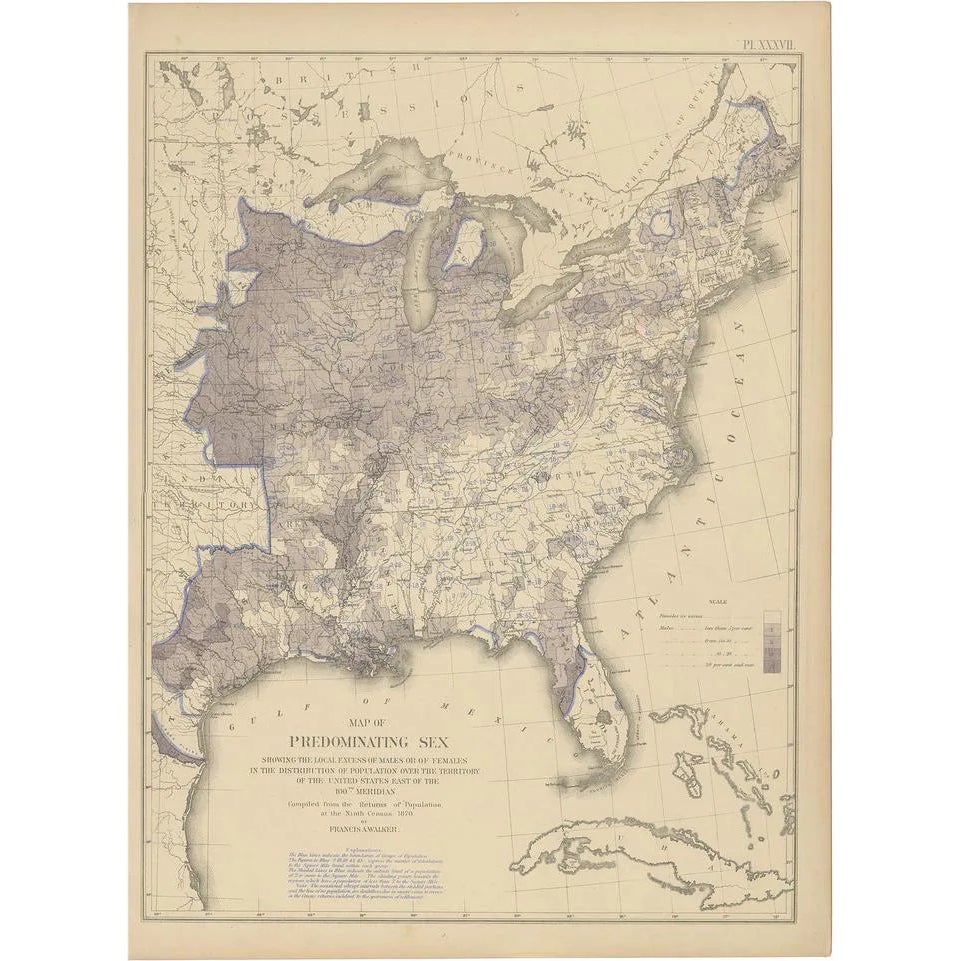 Antique Chart of the US Predominating Sex, 1874 | Chairish