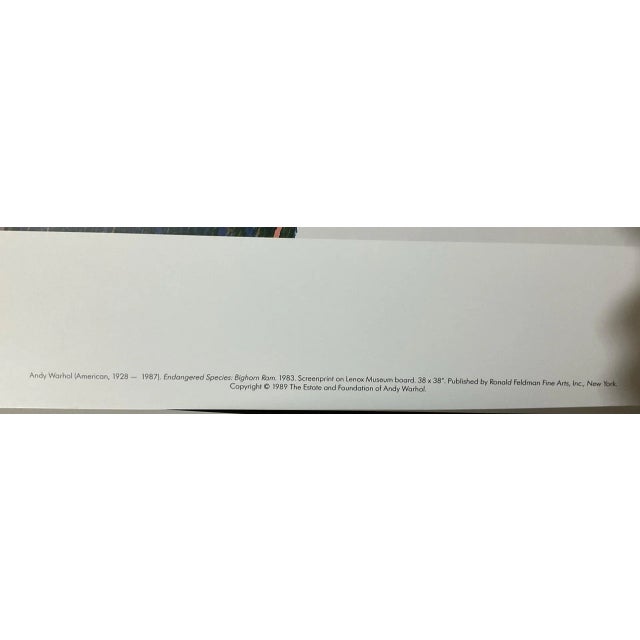 1989 Andy Warhol Endangered Species Prints in Original Portfolio For Sale - Image 9 of 12