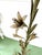 Metal Vintage Italian Floral Tole Floor Lamp For Sale - Image 7 of 13