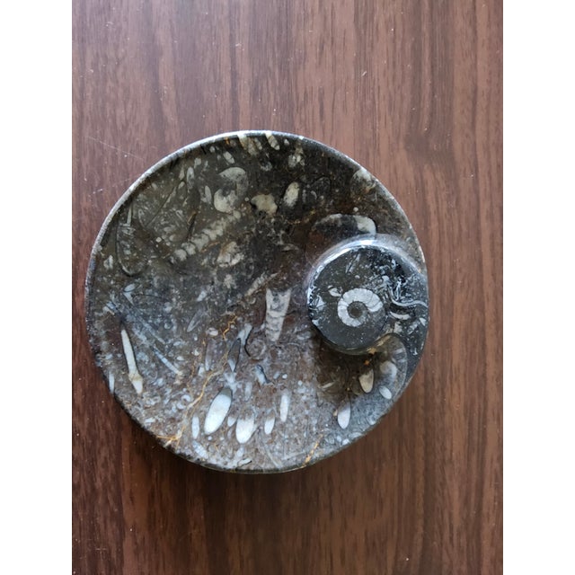 Vintage fossil dish, soap dish, jewelry tray, or smudge tray. Add an organic opulence and cool, on-trend style to your...