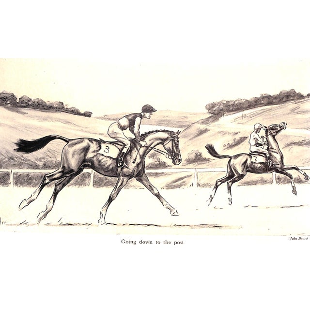"Training the Racehorse" Stewart, Lt.-Col. p.d. For Sale In New York - Image 6 of 12