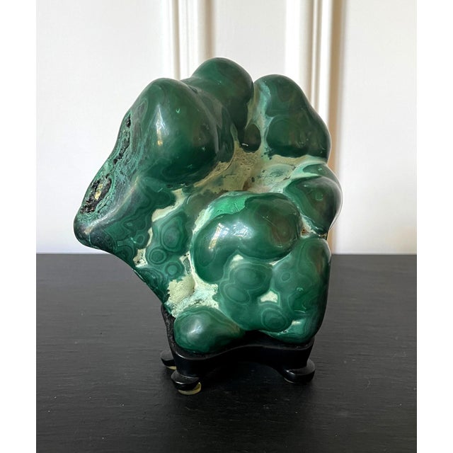 A malachite rock specimen with intense green and black colors fitted on a wood stand. The gemstone in the botryoidal form...
