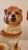 Early 20th Century Pair of Ceramic Staffordshire Spaniel Dogs For Sale - Image 10 of 10